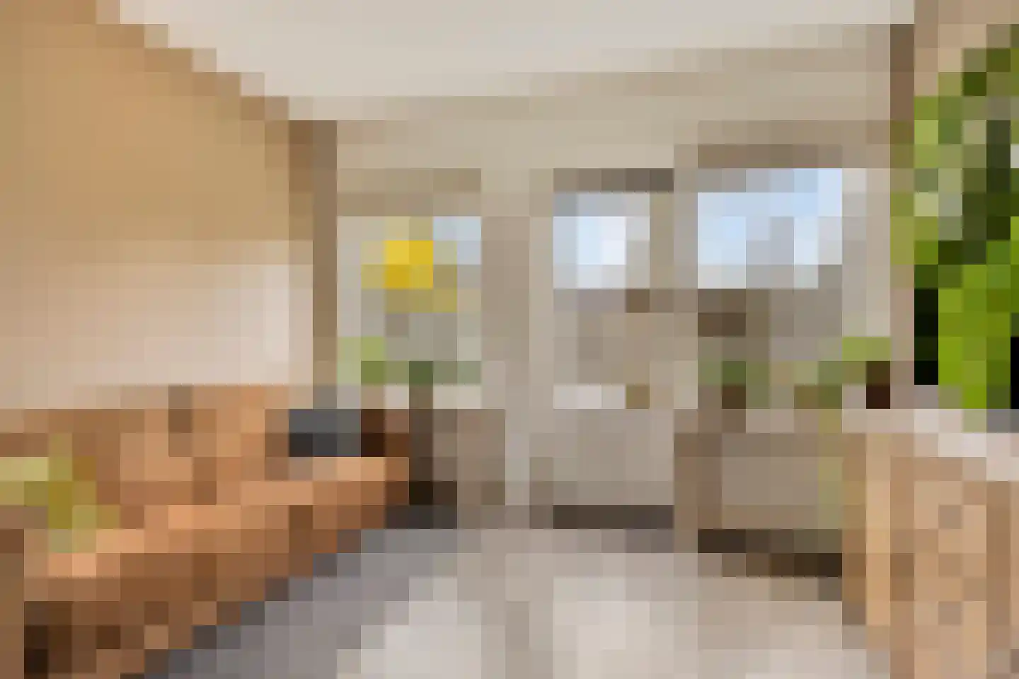 't Veld 65 Wezep thumbnail 11