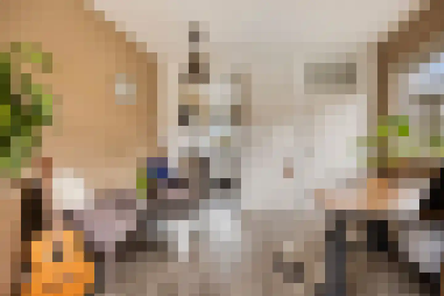 't Veld 65 Wezep thumbnail 13