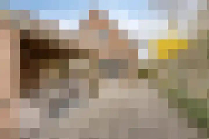 't Veld 65 Wezep thumbnail 29