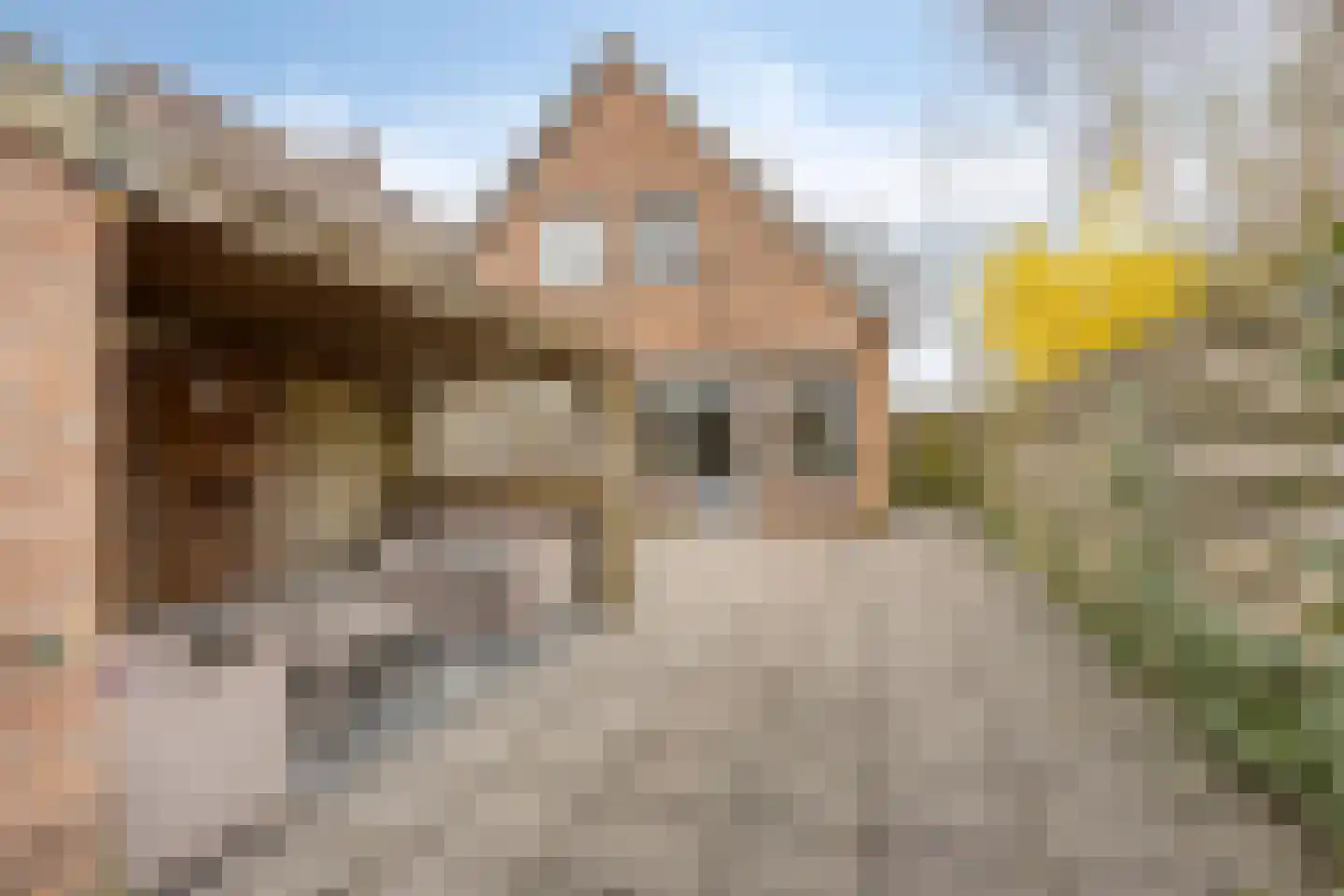 't Veld 65 Wezep thumbnail 29