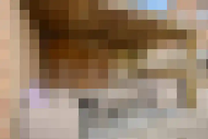 't Veld 65 Wezep thumbnail 30