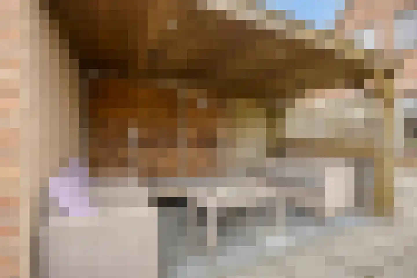 't Veld 65 Wezep thumbnail 30
