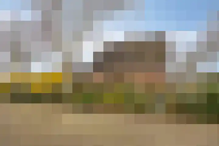 't Veld 65 Wezep thumbnail 31