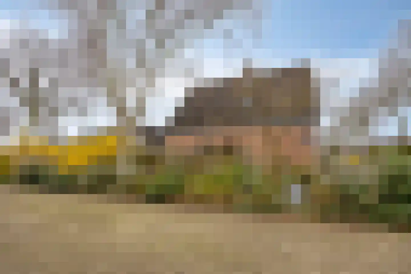 't Veld 65 Wezep thumbnail 31