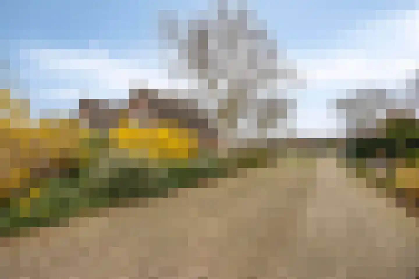 't Veld 65 Wezep thumbnail 32