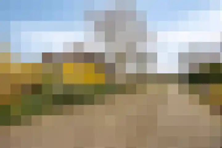 't Veld 65 Wezep thumbnail 32