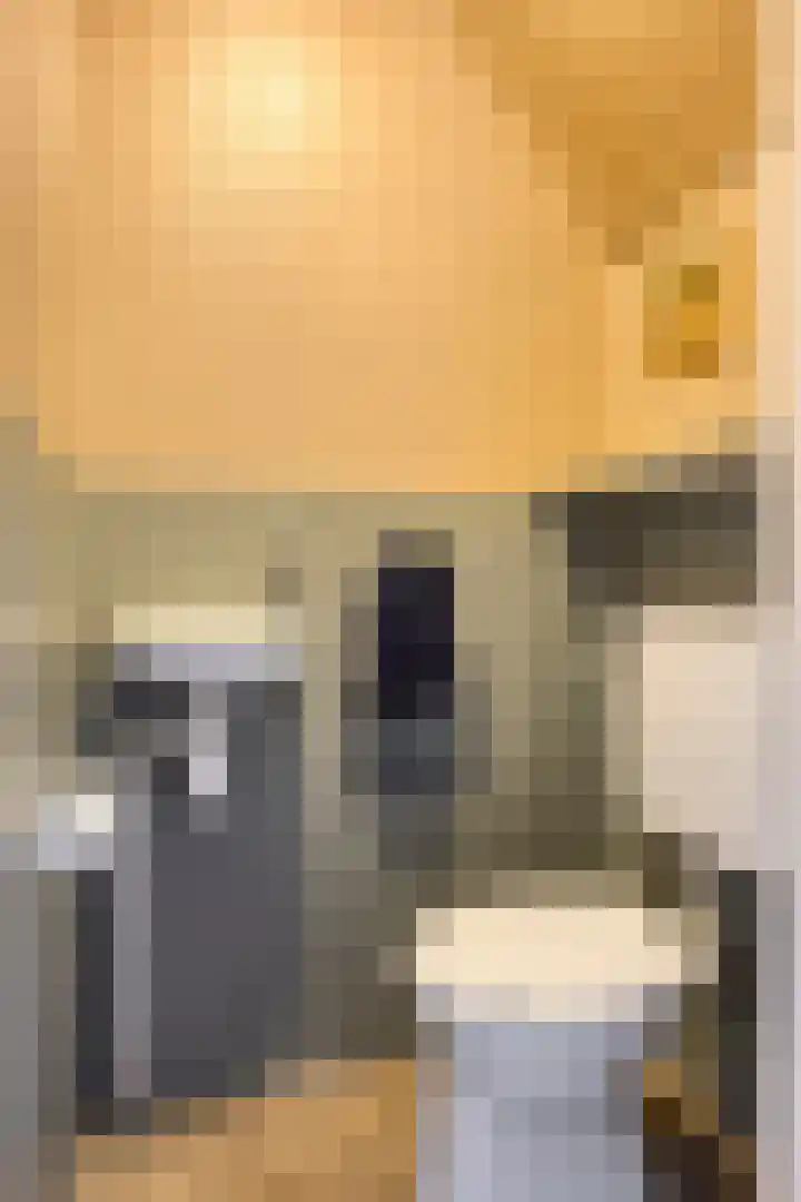 't Veld 65 Wezep thumbnail 8