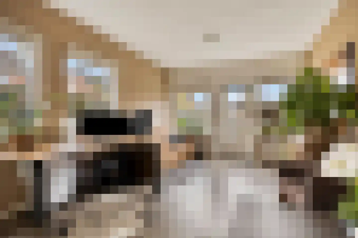 't Veld 65 Wezep thumbnail 9