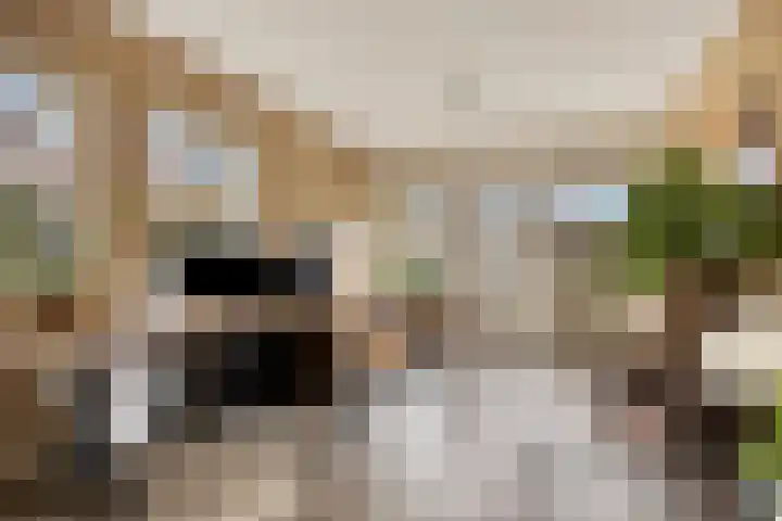 't Veld 65 Wezep thumbnail 9