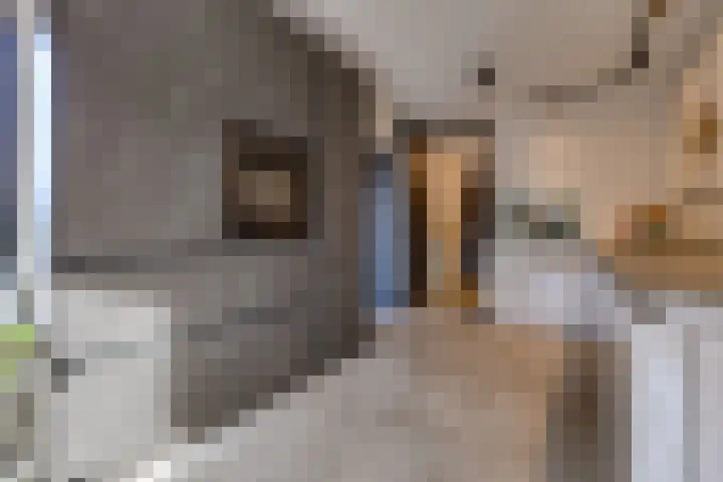 't Veltken 1 Sellingen thumbnail 21