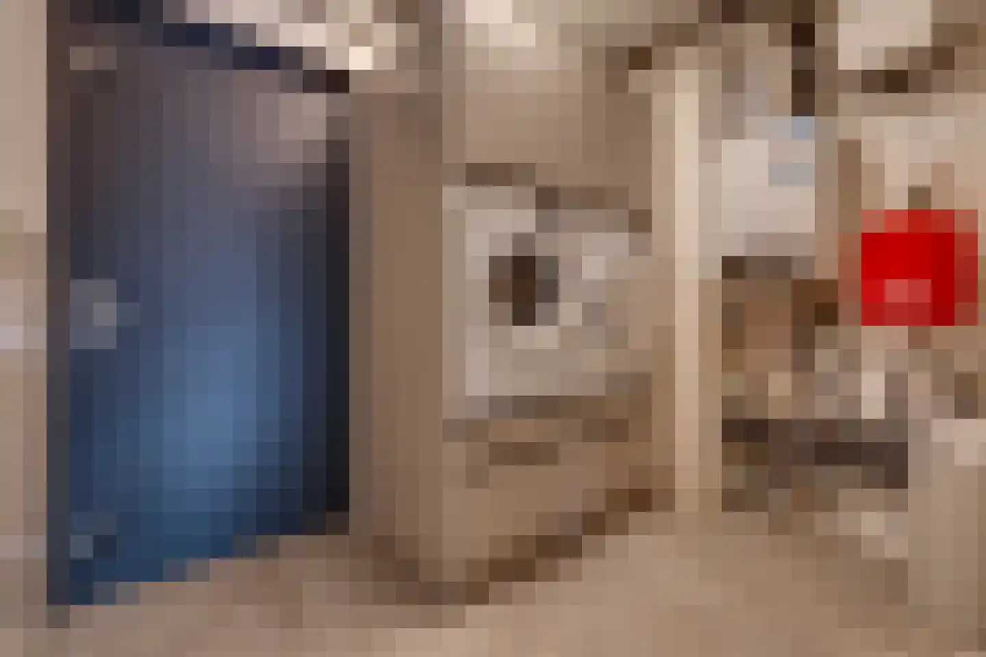 't Veltken 1 Sellingen thumbnail 23