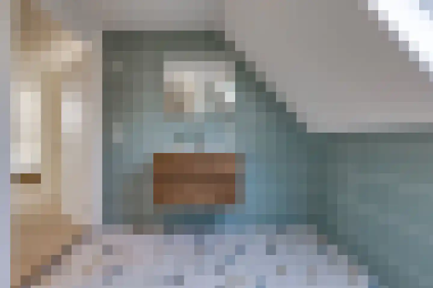 't Veltken 1 Sellingen thumbnail 43