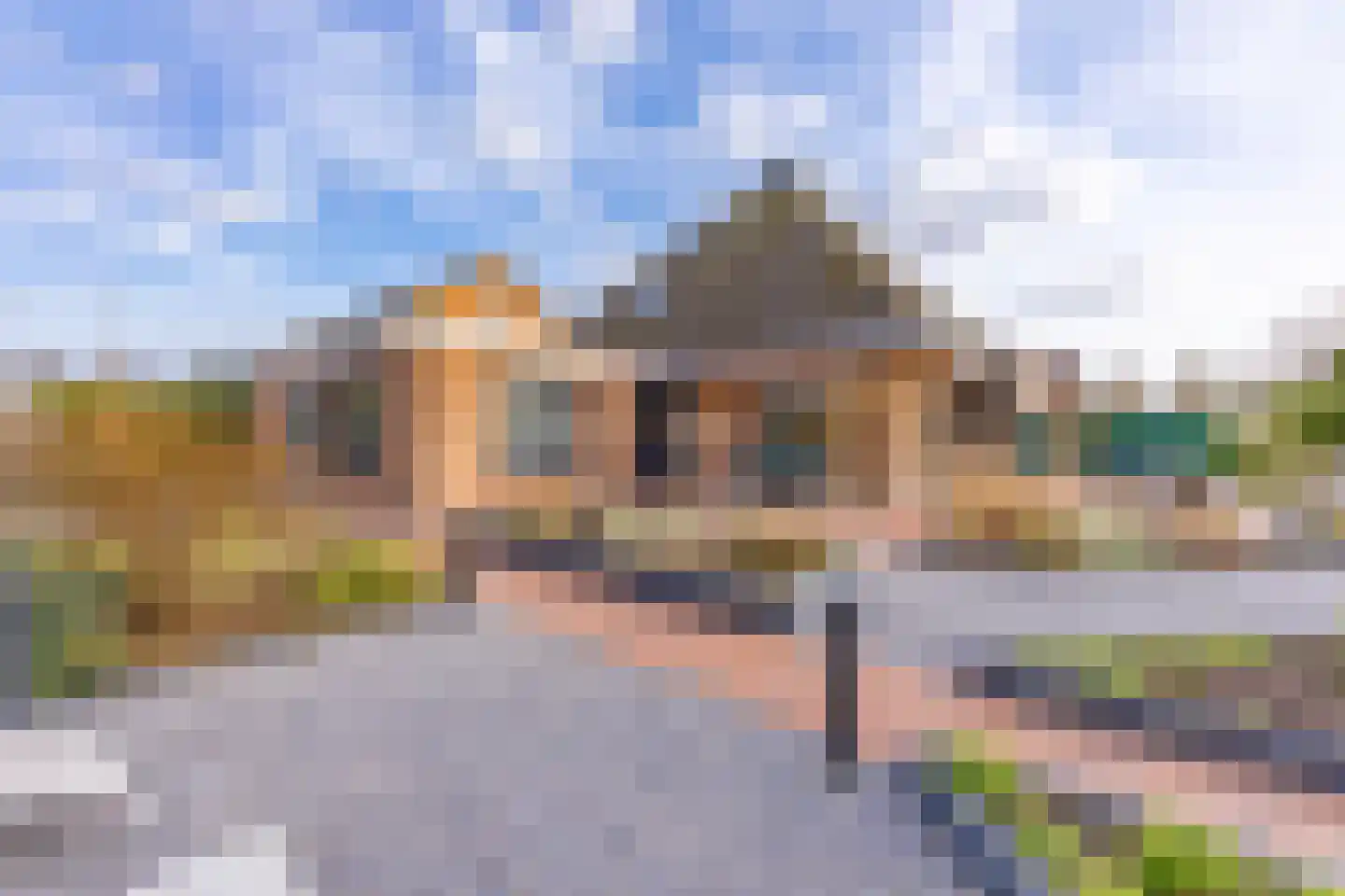 't Veltken 1 Sellingen thumbnail 45
