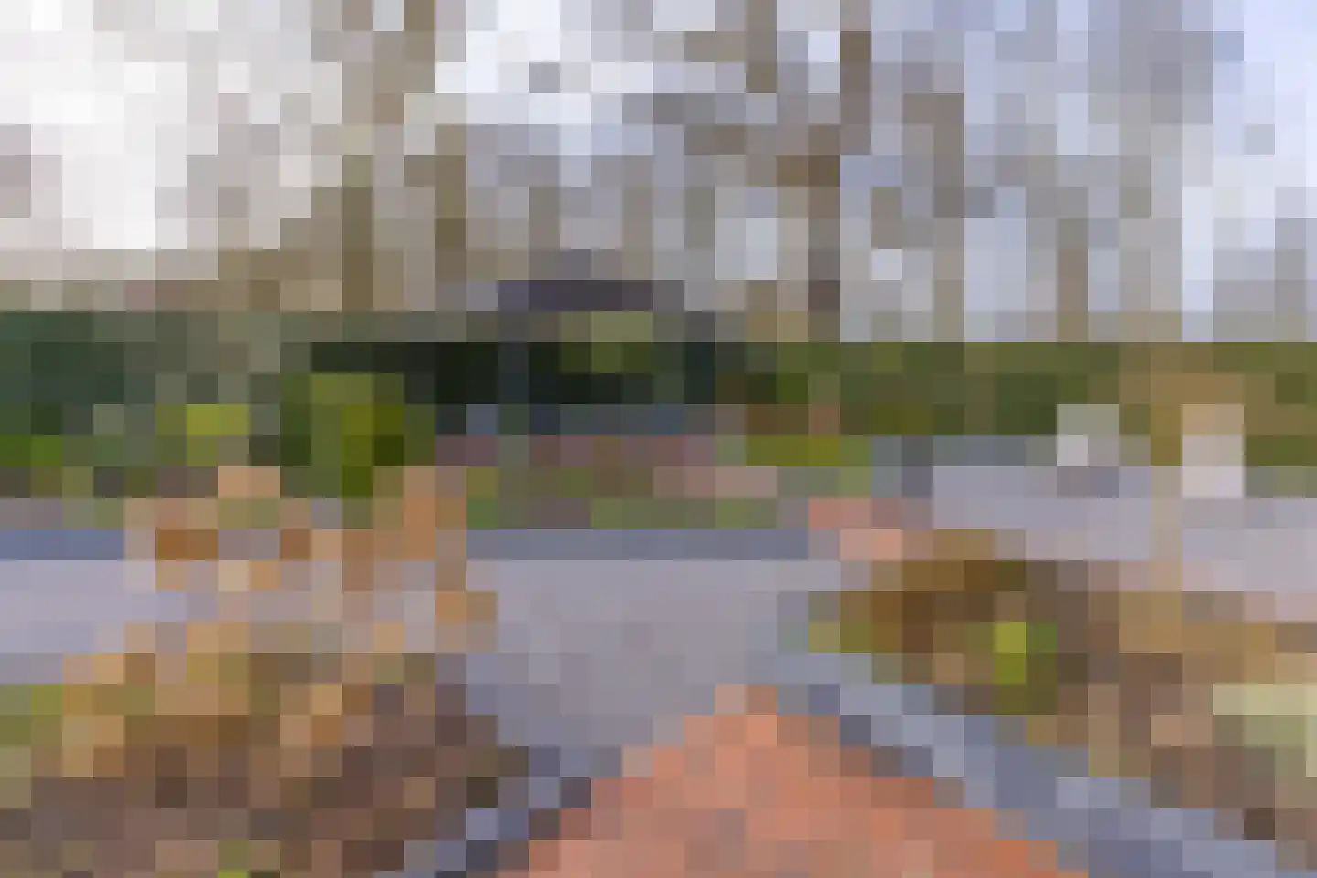 't Veltken 1 Sellingen thumbnail 5