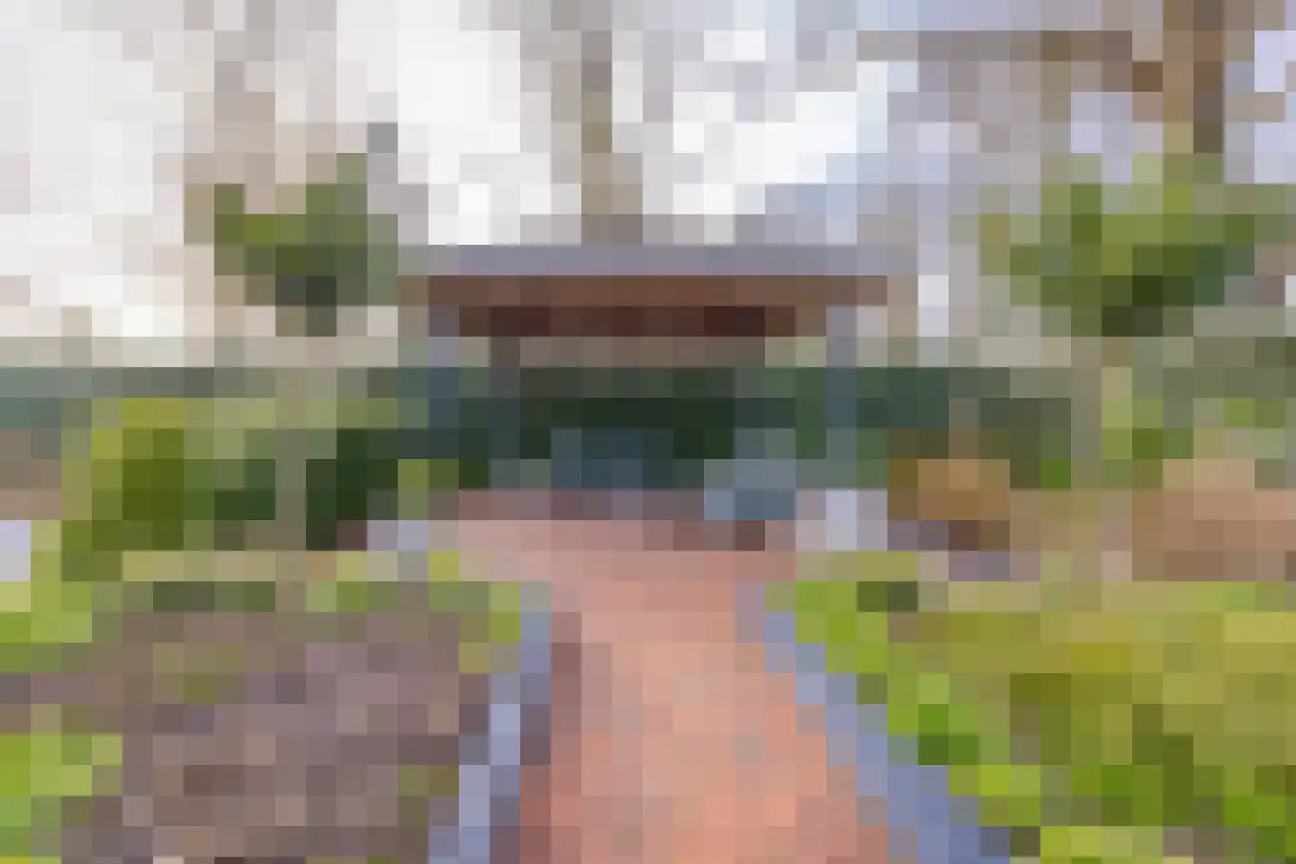 't Veltken 1 Sellingen thumbnail 51