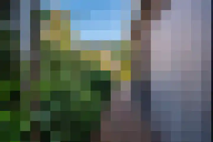 't Veltken 14 Sellingen thumbnail 10