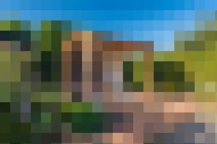 't Veltken 14 Sellingen thumbnail 14