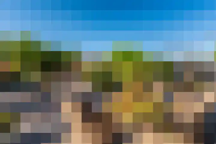 't Veltken 14 Sellingen thumbnail 17