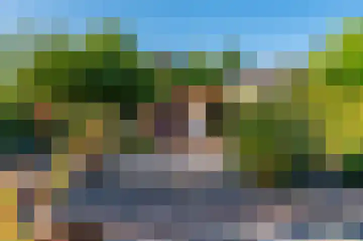 't Veltken 14 Sellingen thumbnail 18