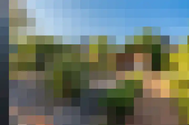 't Veltken 14 Sellingen thumbnail 19