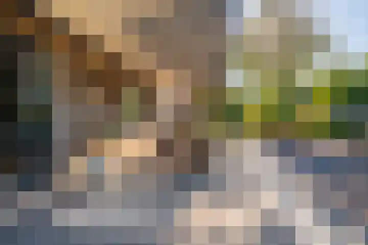 't Veltken 14 Sellingen thumbnail 20