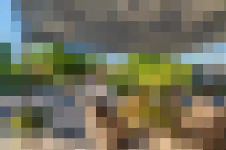 't Veltken 14 Sellingen thumbnail 22