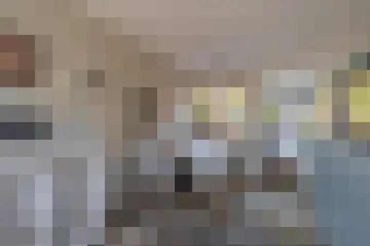 't Veltken 14 Sellingen thumbnail 27