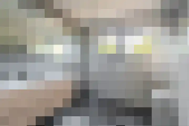 't Veltken 14 Sellingen thumbnail 33