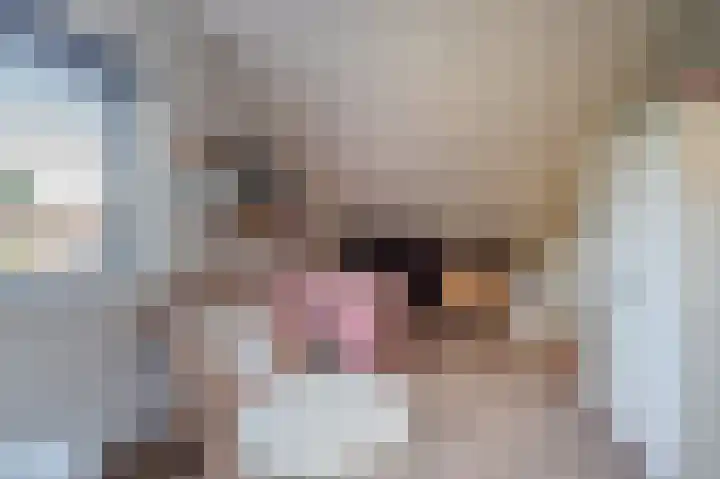 't Veltken 14 Sellingen thumbnail 39