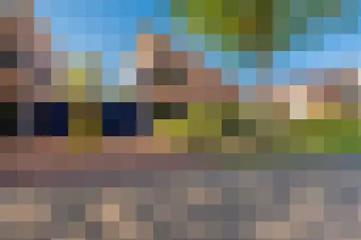 't Veltken 14 Sellingen thumbnail 4