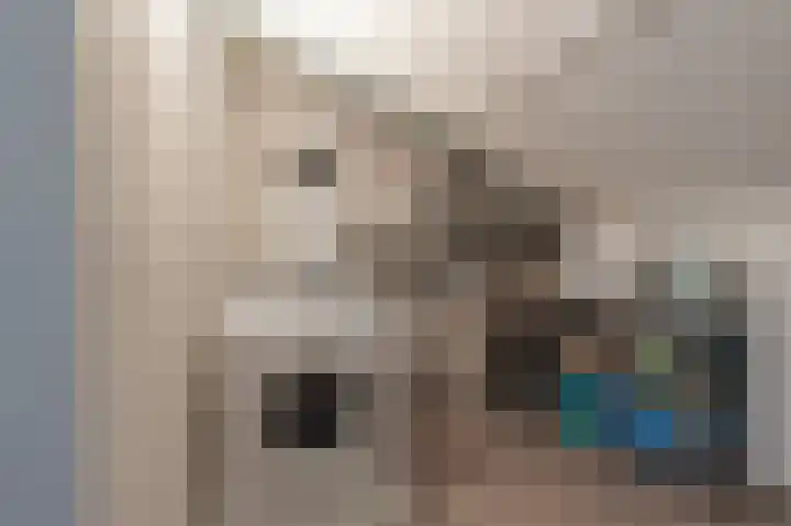 't Veltken 14 Sellingen thumbnail 45