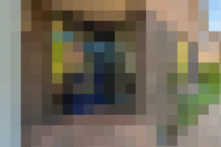 't Veltken 14 Sellingen thumbnail 5