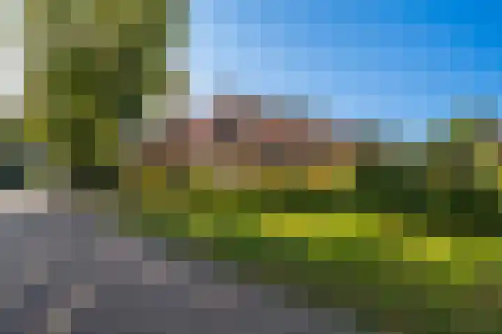 't Veltken 14 Sellingen thumbnail 6