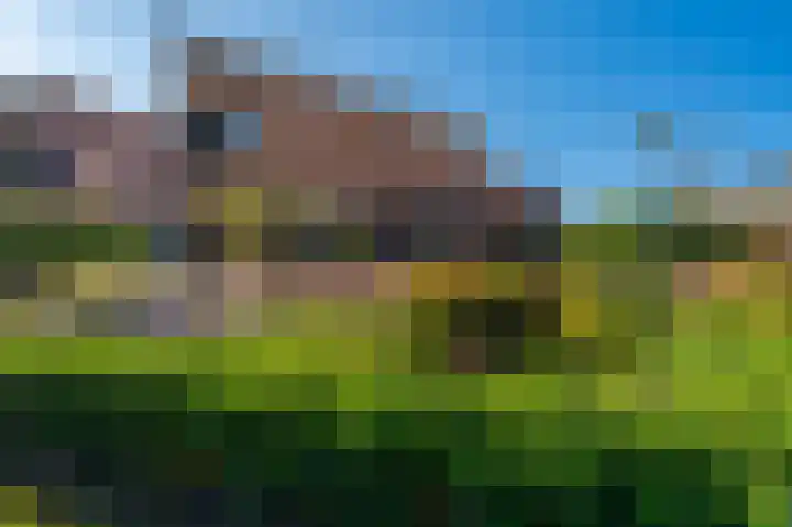 't Veltken 14 Sellingen thumbnail 7