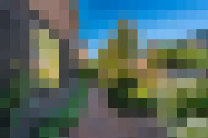 't Veltken 14 Sellingen thumbnail 8