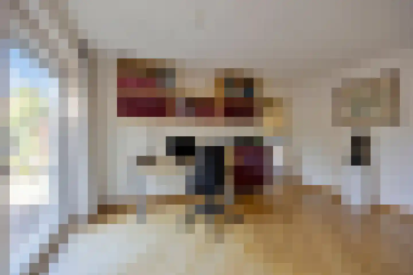 't Venje 13 Oterleek thumbnail 17