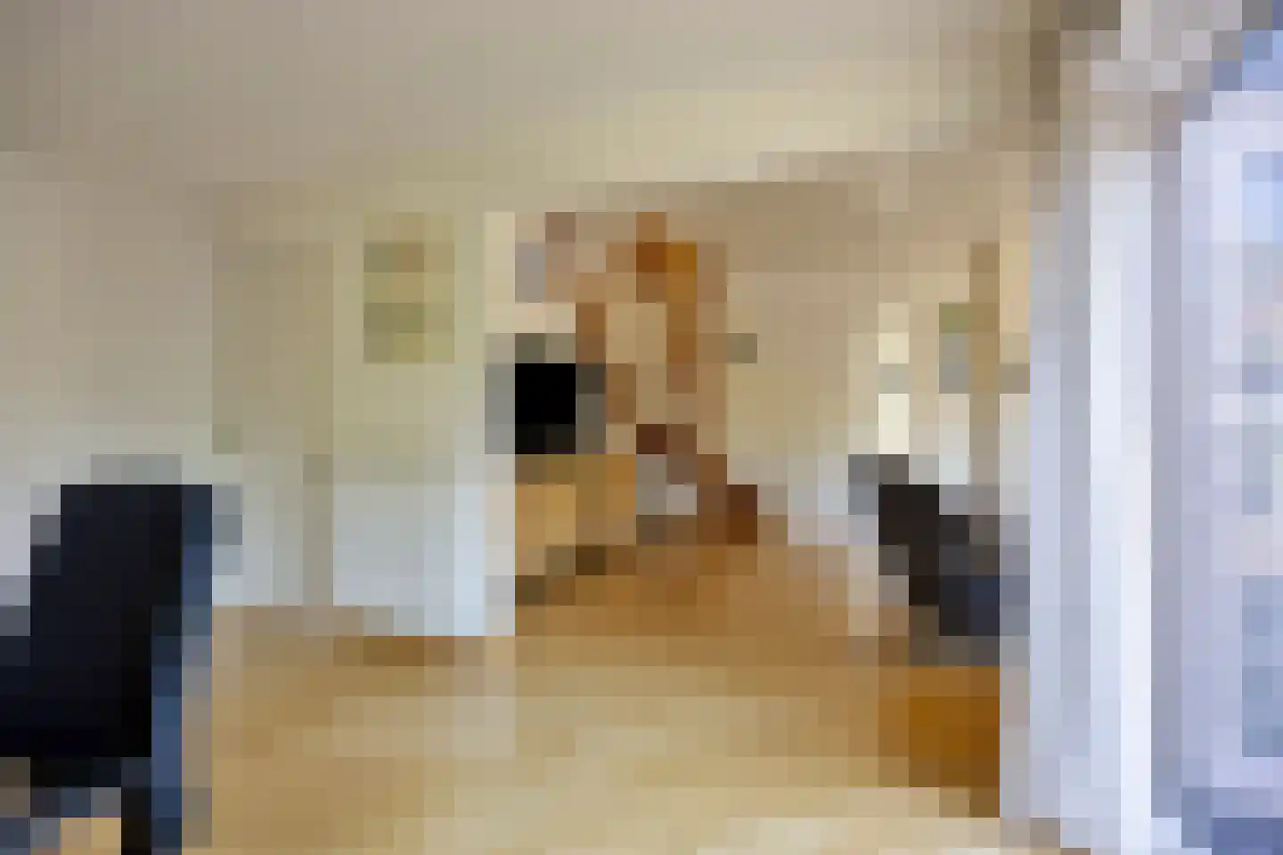 't Venje 13 Oterleek thumbnail 18