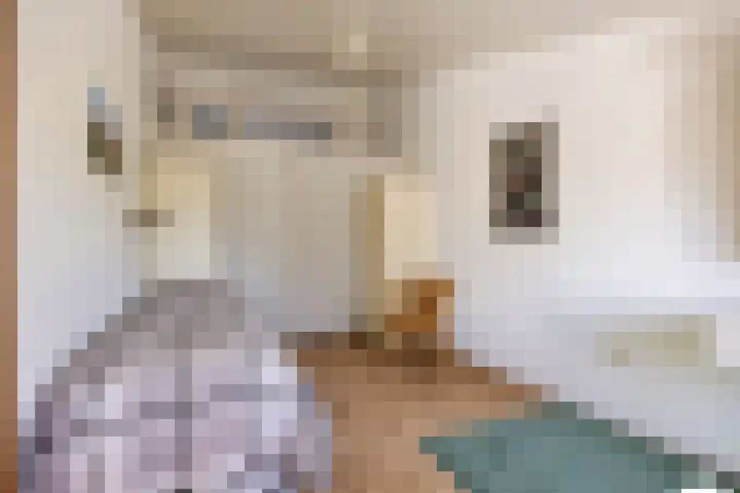 't Venje 13 Oterleek thumbnail 26