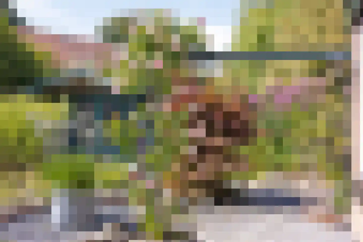 't Venje 13 Oterleek thumbnail 30