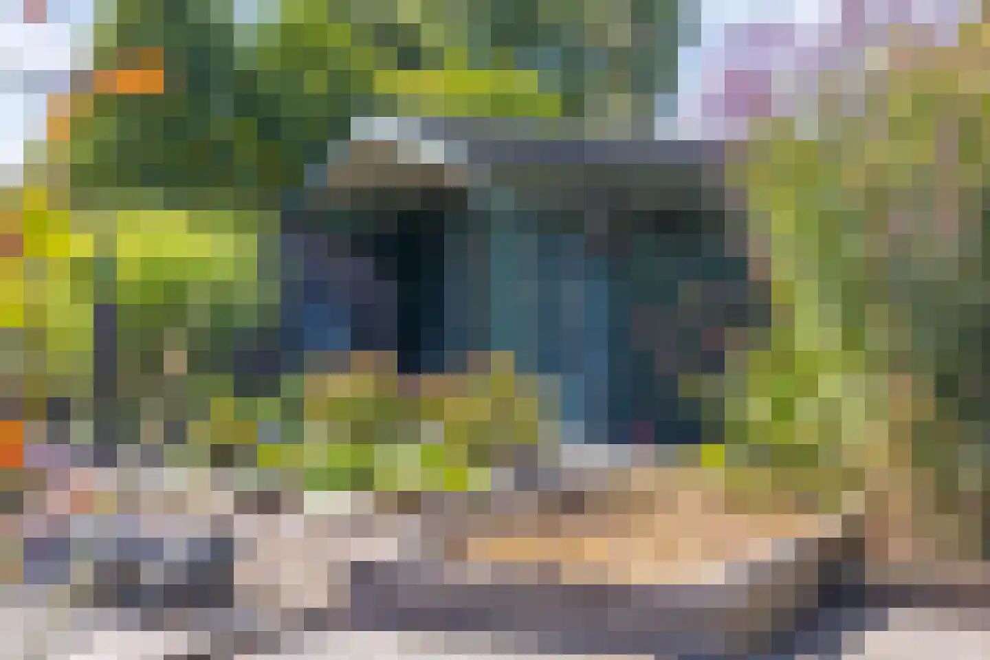 't Venje 13 Oterleek thumbnail 32