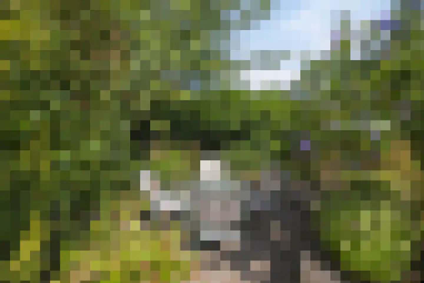 't Venje 13 Oterleek thumbnail 36