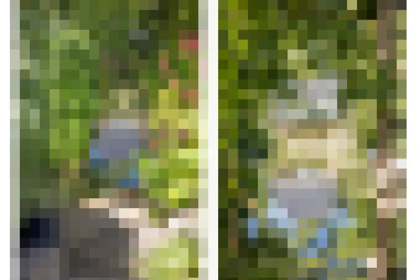 't Venje 13 Oterleek thumbnail 37