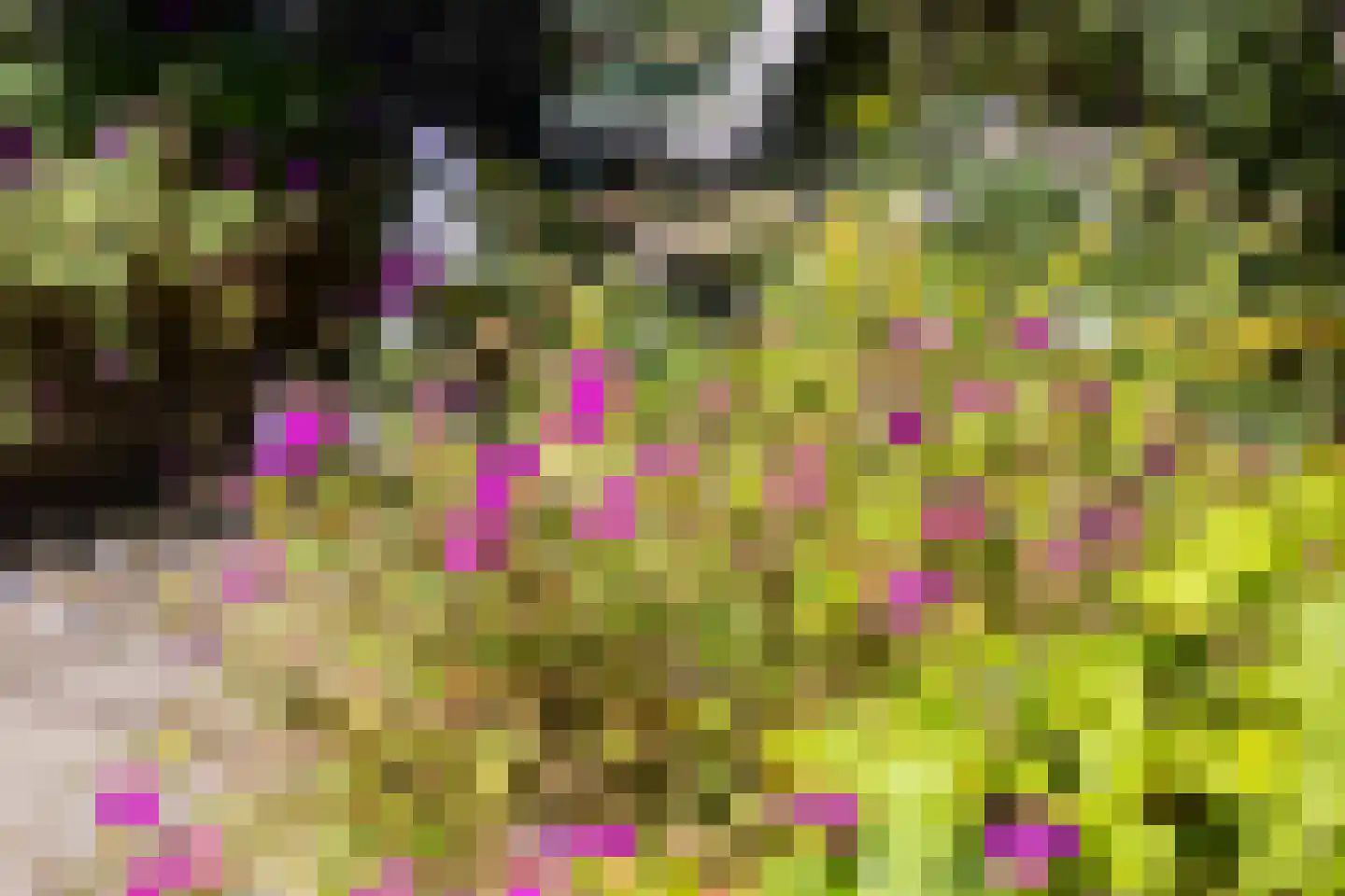 't Venje 13 Oterleek thumbnail 38