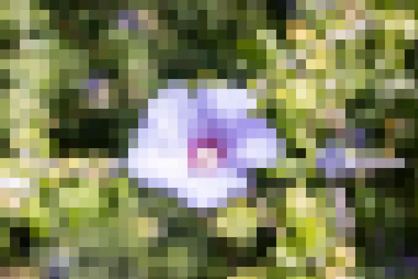 't Venje 13 Oterleek thumbnail 39