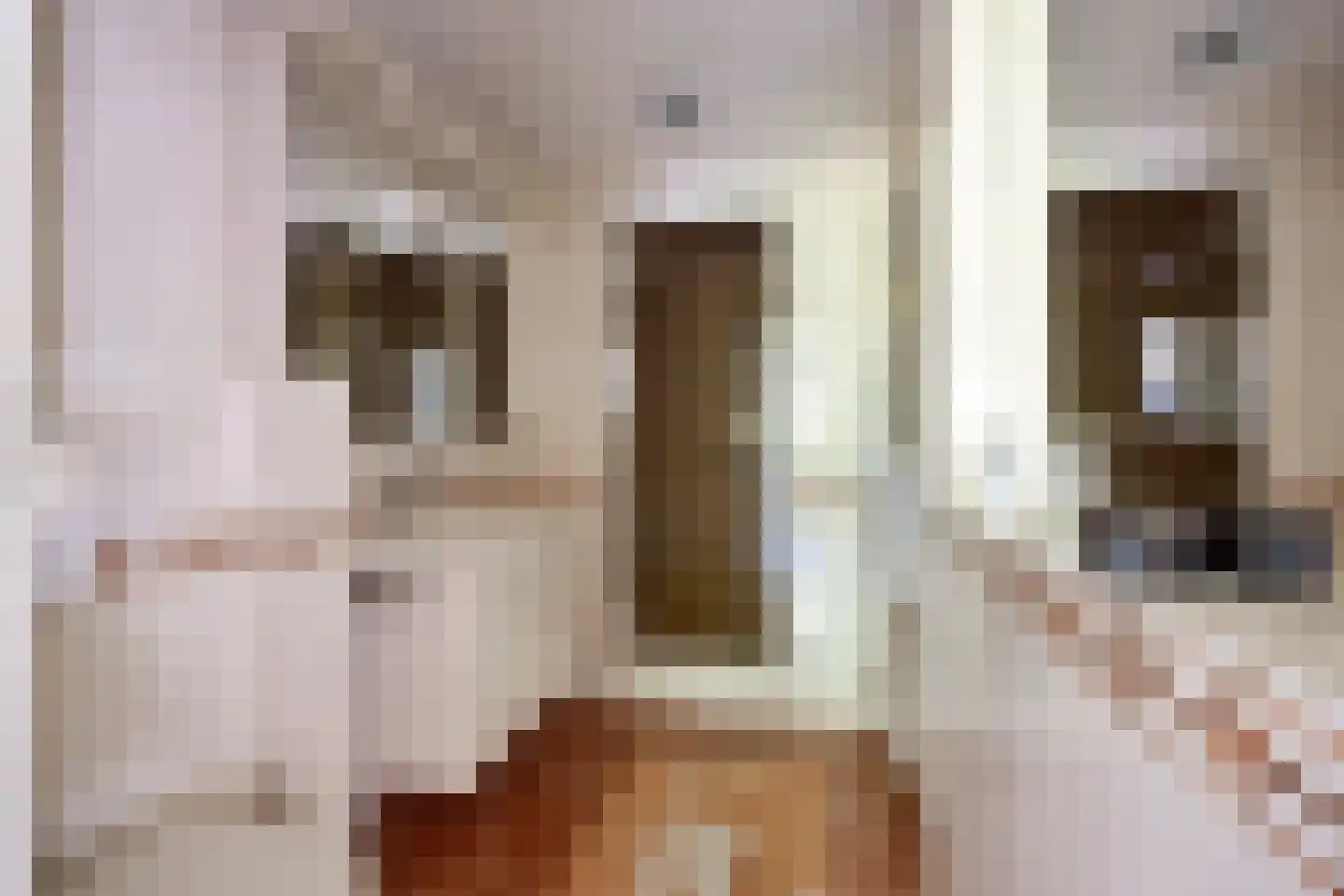 't Venje 13 Oterleek thumbnail 5