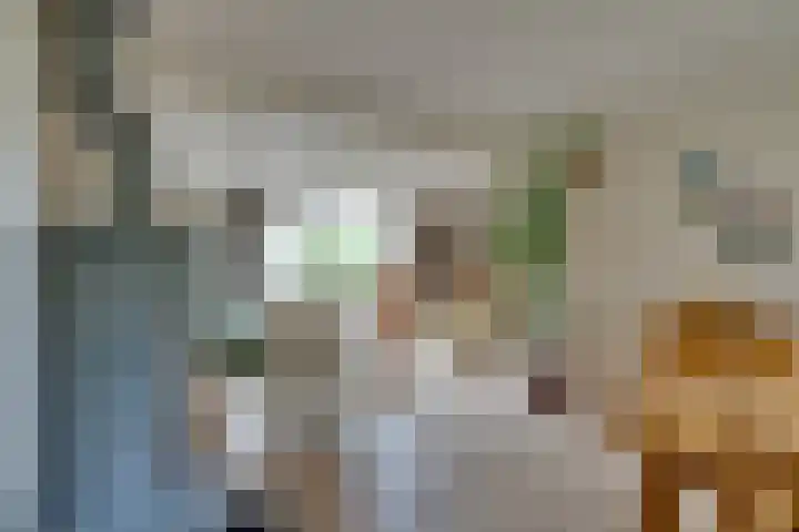 't Vennetje 9 Sint Pancras thumbnail 10
