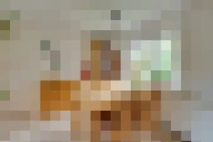 't Vennetje 9 Sint Pancras thumbnail 11