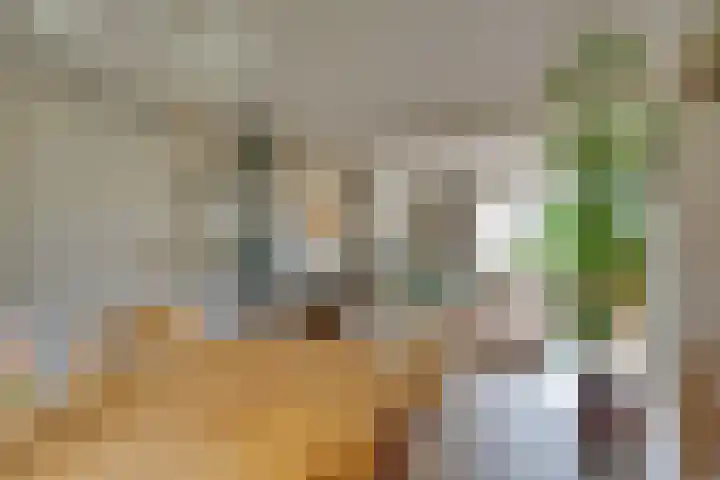 't Vennetje 9 Sint Pancras thumbnail 12