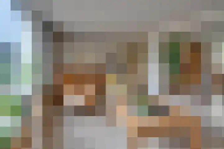't Vennetje 9 Sint Pancras thumbnail 14