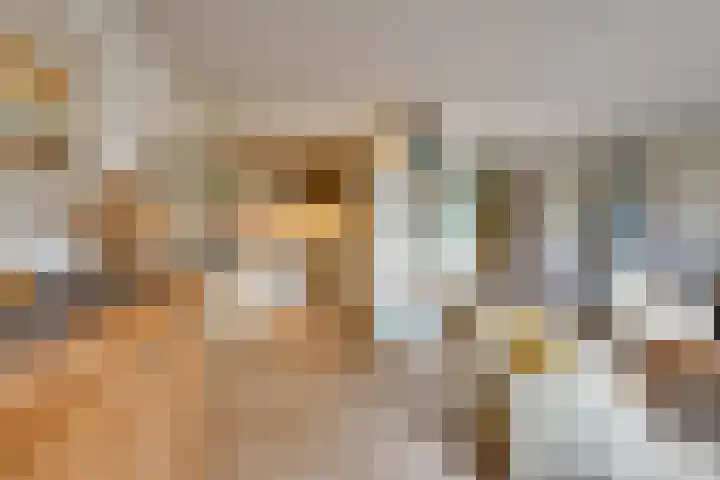 't Vennetje 9 Sint Pancras thumbnail 18